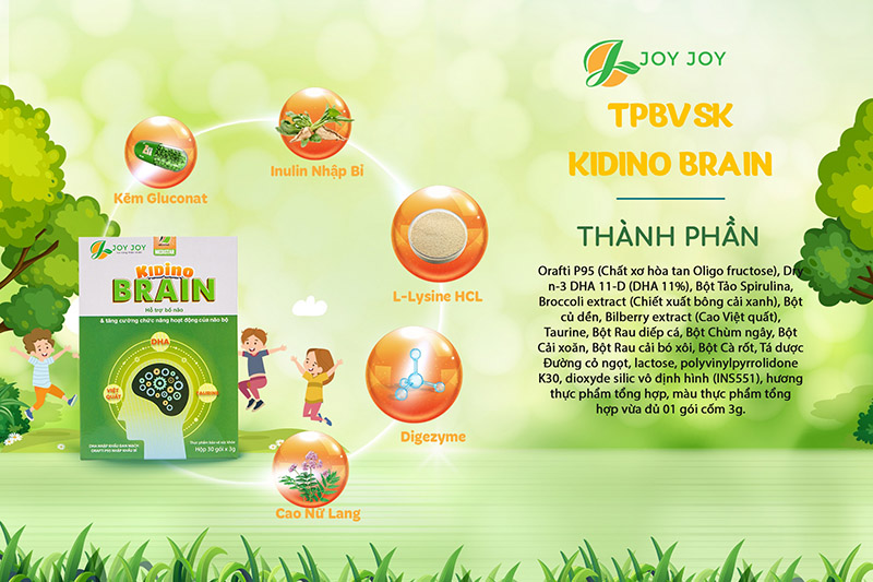 Thành phần chất lượng của KIDINO BRAIN