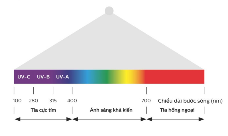 Tia Cực Tím Là Gì? Tác Hại Của Chúng Đối Với Làn Da?