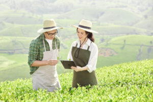 Hathor group khat vong my pham viet 230622 2