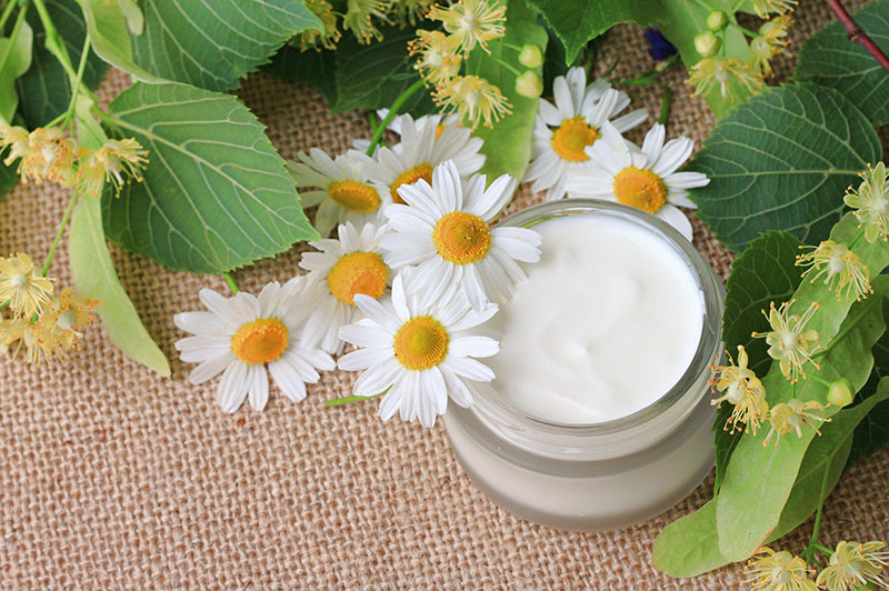 Chiết xuất Cúc La Mã (Chamomile Extract): Thành phần dưỡng da hoàn hảo 1 Chiết xuất Cúc La Mã