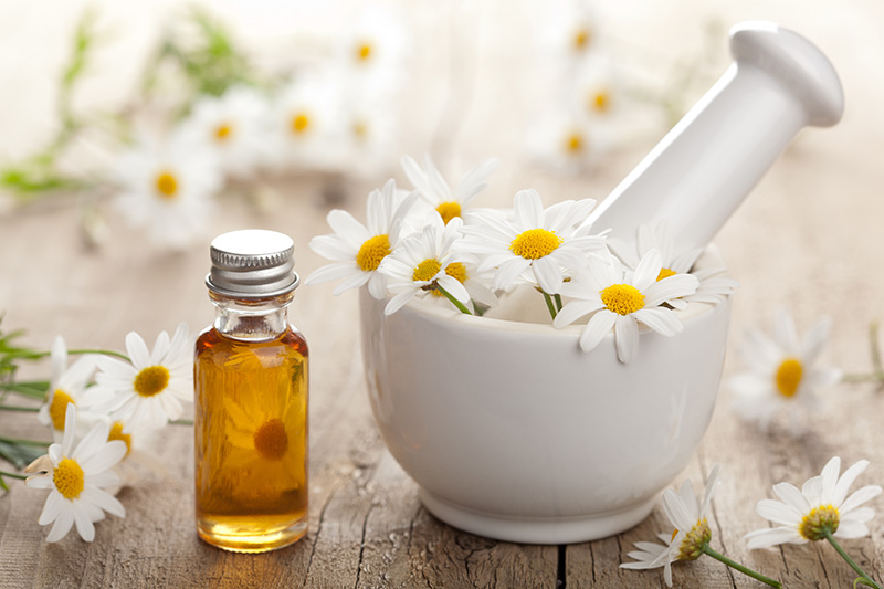 Chiết xuất Cúc La Mã (Chamomile Extract): Thành phần dưỡng da hoàn hảo 3 Cúc La Mã phòng ngừa chứng chàm da
