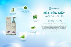 THANH PHAN SRM NGAI CUU TIA TO